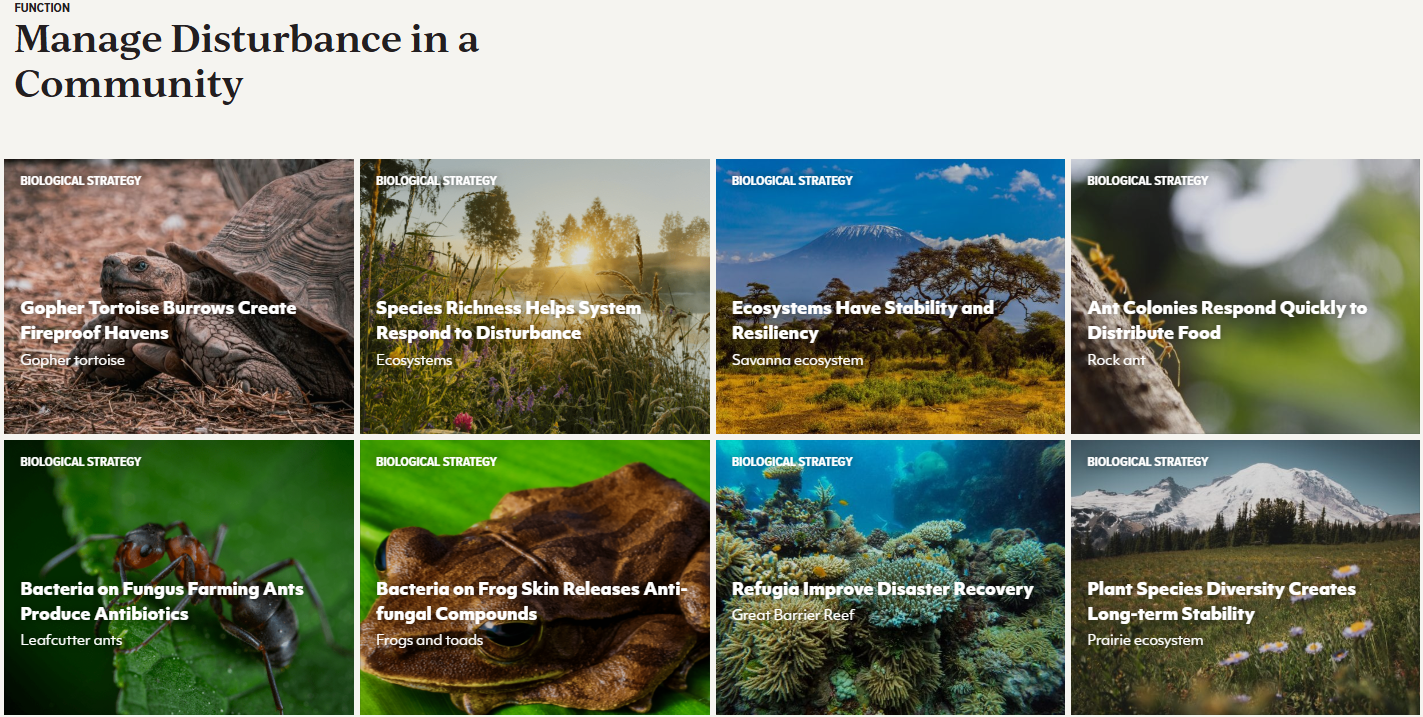 Image from Ask Nature Library of Natural Ecosystems - Asknature.org